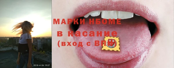 ECSTASY Инсар