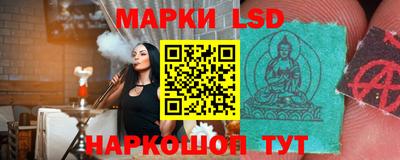 гашик Донской