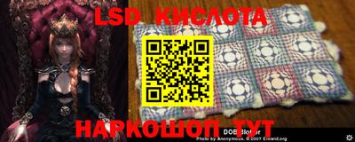 гашик Донской