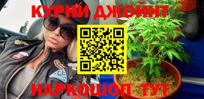 гашик Донской