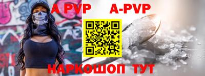 гашик Донской