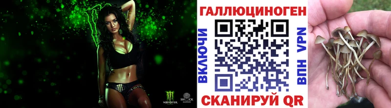 Галлюциногенные грибы мицелий Нефтекумск