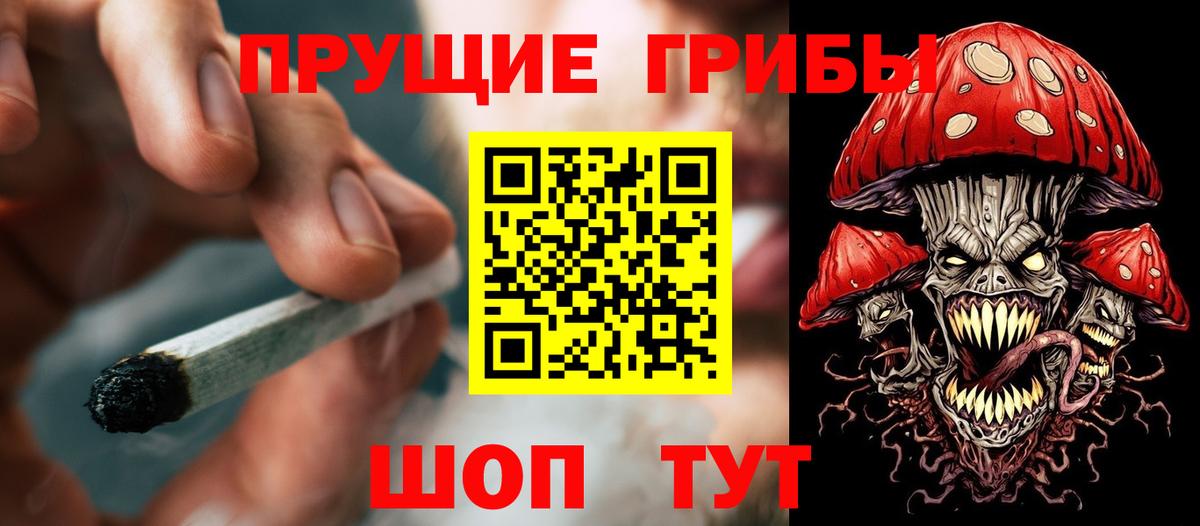 Галлюциногенные грибы прущие грибы Нефтекумск
