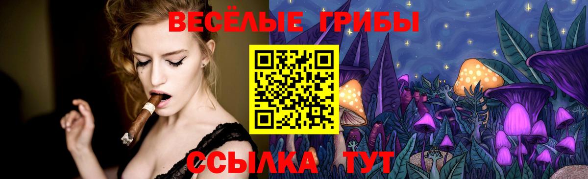 Галлюциногенные грибы MAGIC MUSHROOMS  как найти закладки  Псилоцибиновые грибы прущие грибы  Нефтекумск  Вход с VPN 